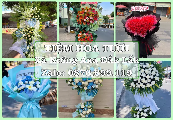 Shop hoa tươi tại Xã Krông Ana Đắk Lắk – Hoa xinh, trái cây cho những dịp gần gũi · ảnh 1