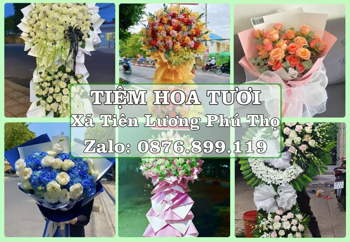 Shop hoa tươi tại Xã Tiên Lương Phú Thọ – Từ bó hoa tặng đến giỏ trái cây biếu · ảnh 1
