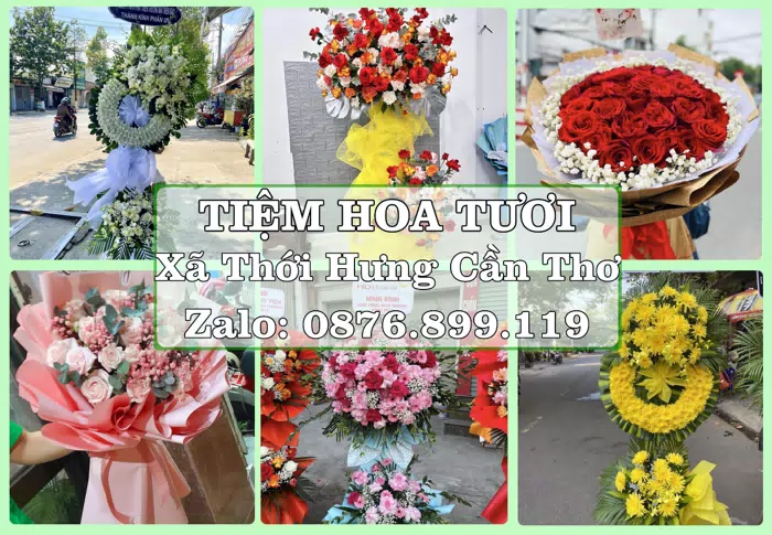 Shop hoa tươi tại Xã Thới Hưng Cần Thơ – Tư vấn hoa và trái cây theo ngân sách · ảnh 1