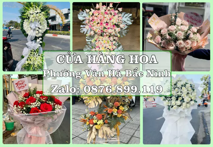Shop hoa tươi tại Phường Vân Hà Bắc Ninh – Chọn hoa, chọn giỏ quà thật chu đáo · ảnh 1