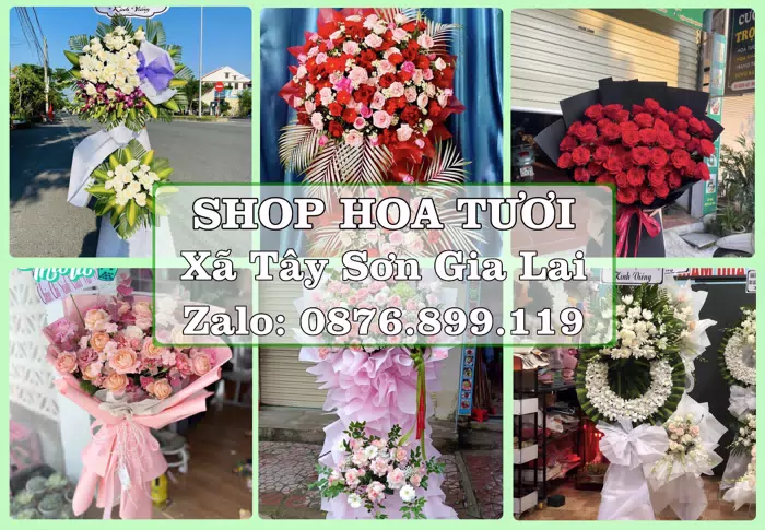 Shop hoa tươi tại Xã Tây Sơn Gia Lai – Gửi lời quan tâm bằng hoa và trái cây · ảnh 1