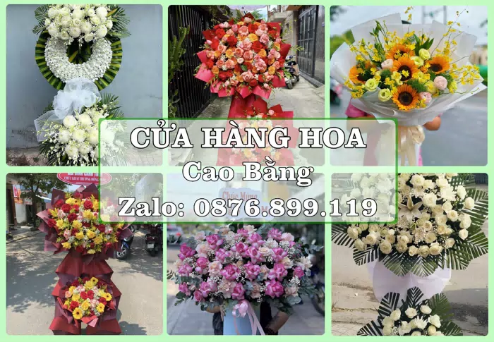 Shop hoa tươi tại Cao Bằng – Từ bó hoa tặng đến giỏ trái cây biếu · ảnh 1