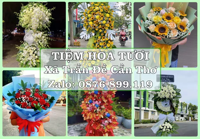 Shop hoa tươi tại Xã Trần Đề Cần Thơ – Gửi lời quan tâm bằng hoa và trái cây · ảnh 1