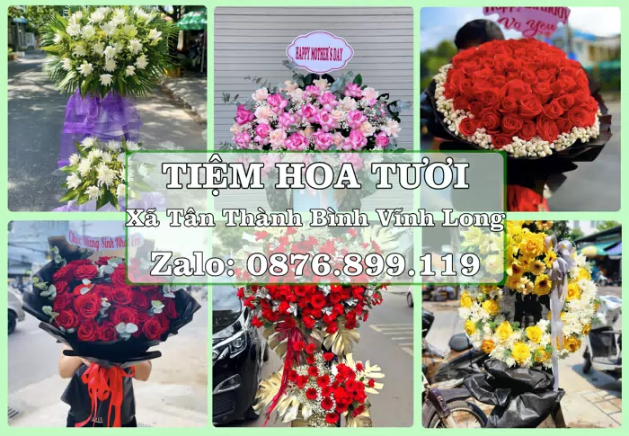 Shop hoa tươi tại Xã Tân Thành Bình Vĩnh Long – Tư vấn hoa và trái cây theo ngân sách · ảnh 1