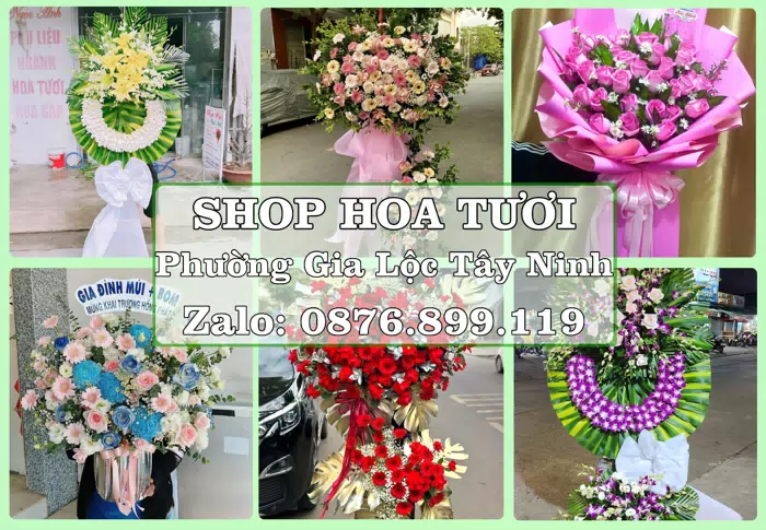 Shop hoa tươi tại Phường Gia Lộc Tây Ninh – Một món quà vừa ý cho ngày đáng nhớ · ảnh 1