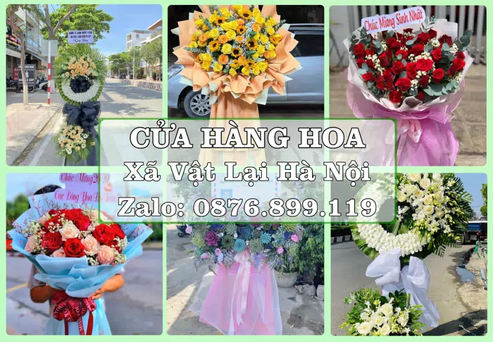 Shop hoa tươi tại Xã Vật Lại Hà Nội – Đặt quà gửi người thân từ xa · ảnh 1
