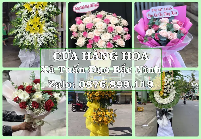 Shop hoa tươi tại Xã Tuấn Đạo Bắc Ninh – Đặt quà gửi người thân từ xa · ảnh 1