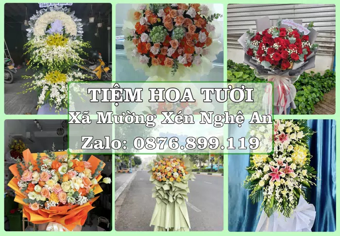 Shop hoa tươi tại Xã Mường Xén Nghệ An – Hoa tươi và trái cây, dễ chọn theo từng dịp · ảnh 1