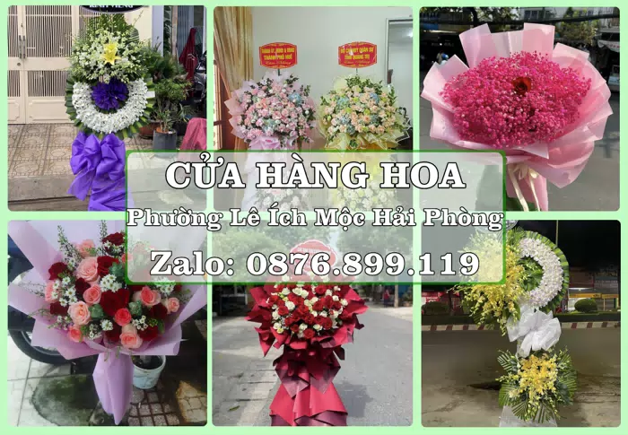 Shop hoa tươi tại Phường Lê Ích Mộc Hải Phòng – Món quà chỉn chu từ những điều nhỏ · ảnh 1