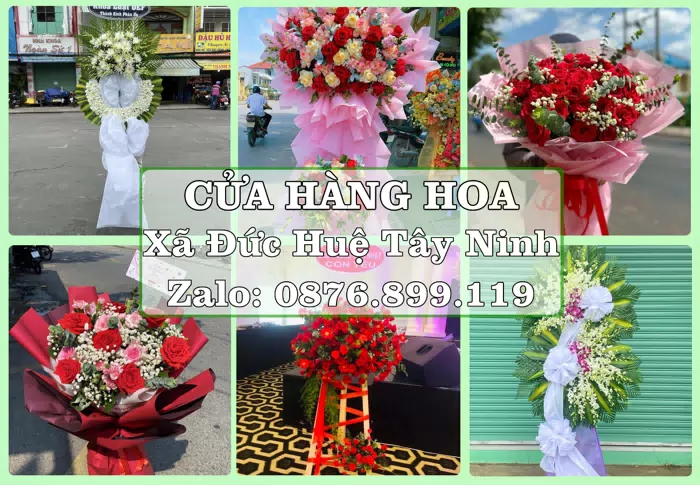 Shop hoa tươi tại Xã Đức Huệ Tây Ninh – Tư vấn hoa và trái cây theo ngân sách · ảnh 1