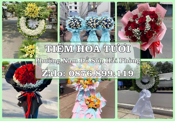 Shop hoa tươi tại Phường Nam Đồ Sơn Hải Phòng – Gửi lời quan tâm bằng hoa và trái cây · ảnh 1