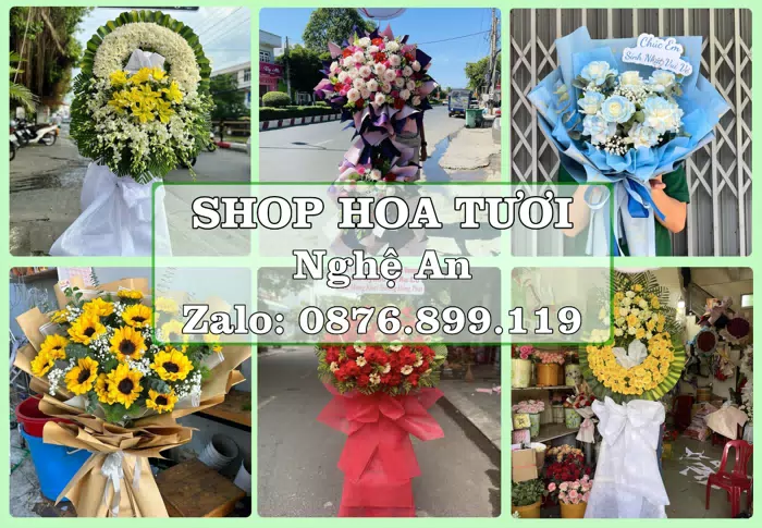 Shop hoa tươi tại Nghệ An – Tư vấn hoa và trái cây theo ngân sách · ảnh 1