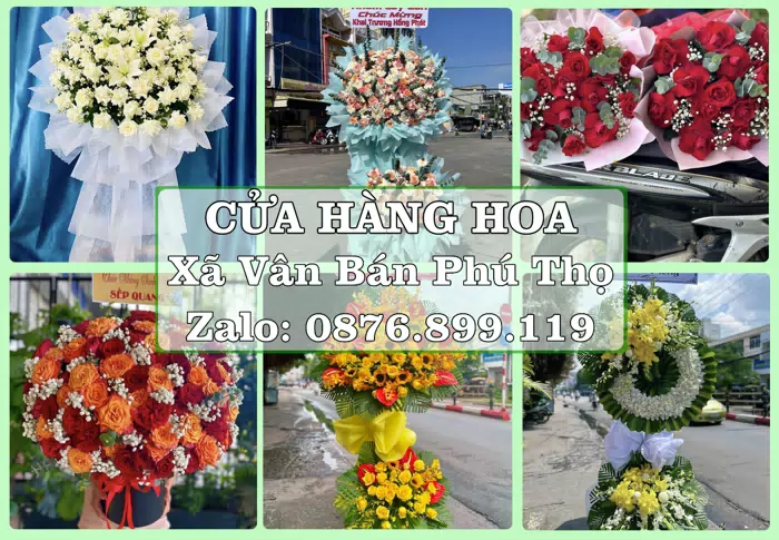 Shop hoa tươi tại Xã Vân Bán Phú Thọ – Chọn hoa, chọn giỏ quà thật chu đáo · ảnh 1