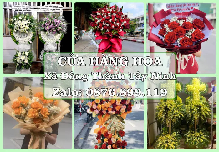 Shop hoa tươi tại Xã Đông Thành Tây Ninh – Hoa xinh, trái cây cho những dịp gần gũi · ảnh 1