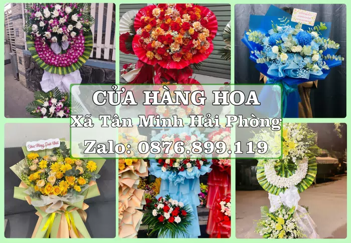 Shop hoa tươi tại Xã Tân Minh Hải Phòng – Tư vấn hoa và trái cây theo ngân sách · ảnh 1