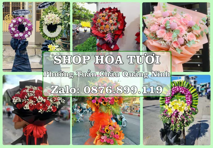 Shop hoa tươi tại Phường Tuần Châu Quảng Ninh – Chuẩn bị hoa và quà cho dịp sắp tới · ảnh 1