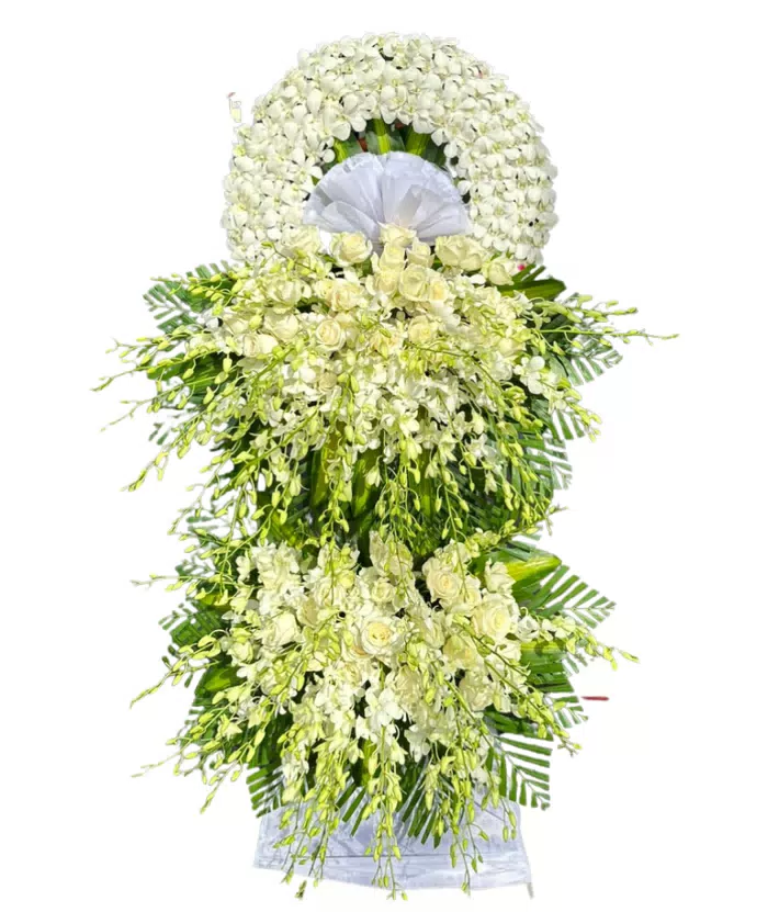 An Nhiên – kệ hoa phân ưu trắng xanh · 0232