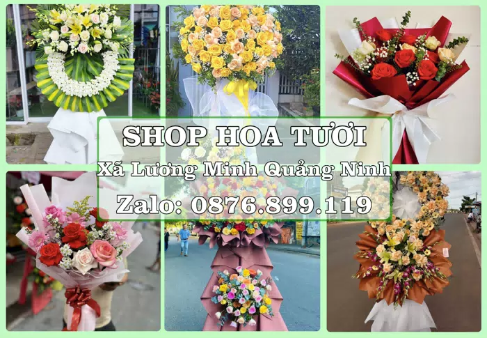 Shop hoa tươi tại Xã Lương Minh Quảng Ninh – Đặt quà gửi người thân từ xa · ảnh 1