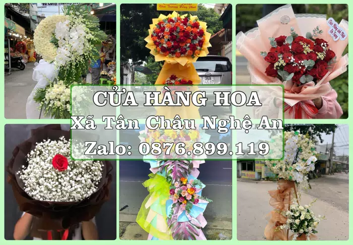 Shop hoa tươi tại Xã Tân Châu Nghệ An – Tư vấn hoa và trái cây theo ngân sách · ảnh 1