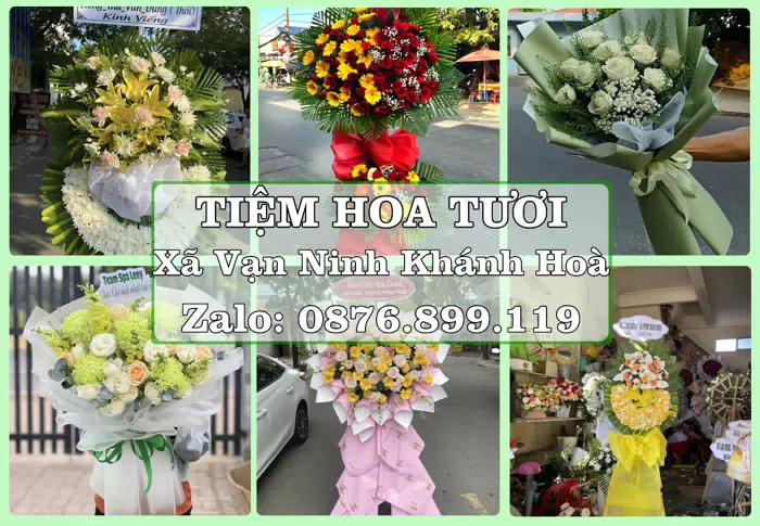 Shop hoa tươi tại Xã Vạn Ninh Khánh Hoà – Đặt quà gửi người thân từ xa · ảnh 1