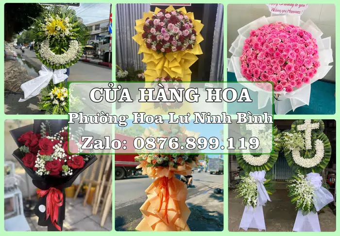 Shop hoa tươi tại Phường Hoa Lư Ninh Bình – Tư vấn hoa và trái cây theo ngân sách · ảnh 1