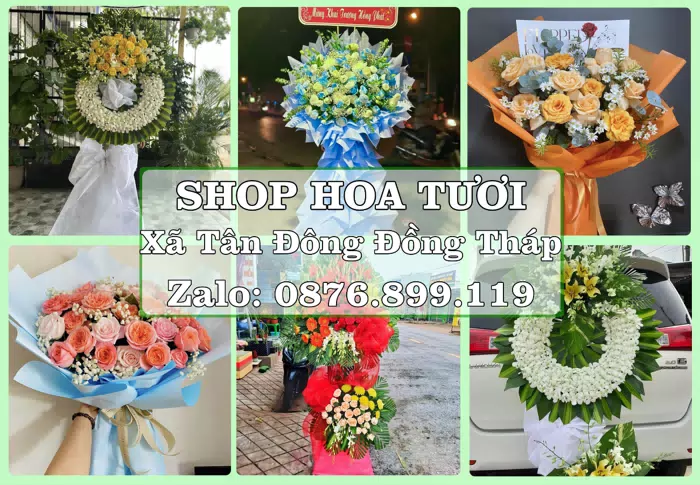 Shop hoa tươi tại Xã Tân Đông Đồng Tháp – Tư vấn hoa và trái cây theo ngân sách · ảnh 1