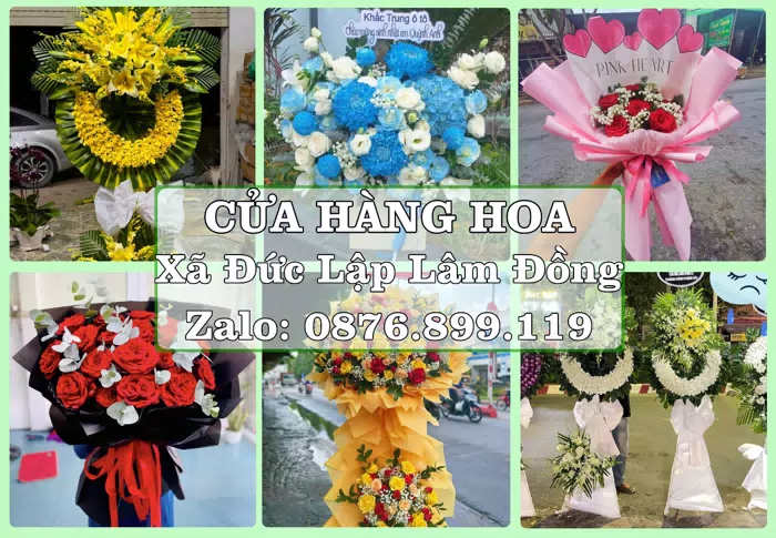 Shop hoa tươi tại Xã Đức Lập Lâm Đồng – Gửi lời quan tâm bằng hoa và trái cây · ảnh 1