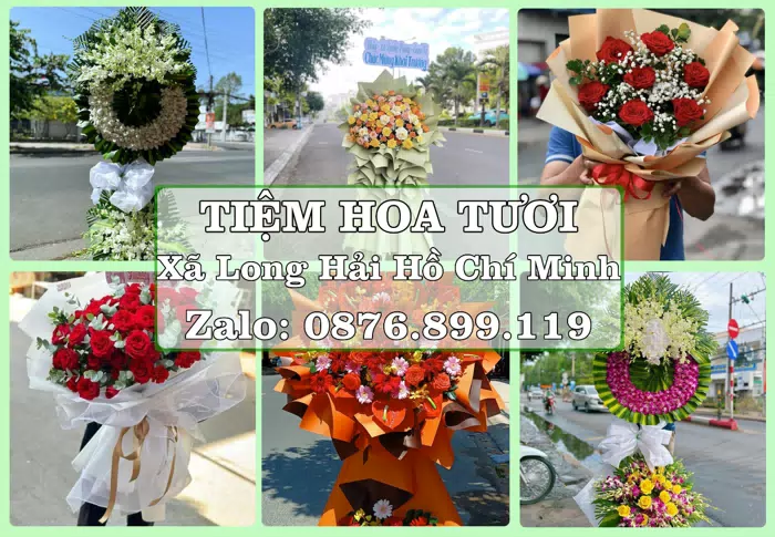 Shop hoa tươi tại Xã Long Hải Hồ Chí Minh – Hoa tươi và trái cây, dễ chọn theo từng dịp · ảnh 1