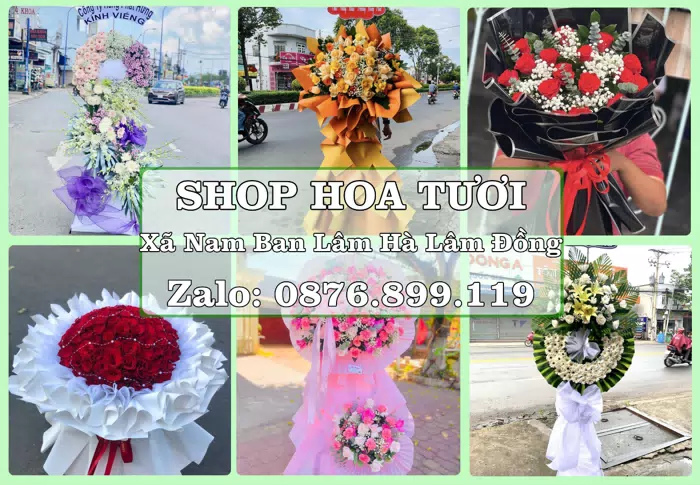 Shop hoa tươi tại Xã Nam Ban Lâm Hà Lâm Đồng – Gửi lời quan tâm bằng hoa và trái cây · ảnh 1
