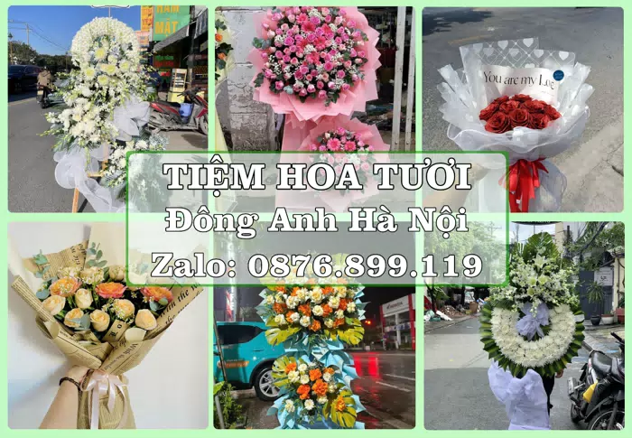 Shop hoa tươi tại Đông Anh Hà Nội – Món quà chỉn chu từ những điều nhỏ · ảnh 1
