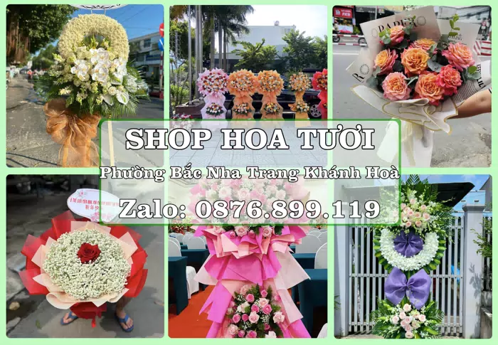 Shop hoa tươi tại Phường Bắc Nha Trang Khánh Hoà – Tư vấn hoa và trái cây theo ngân sách · ảnh 1
