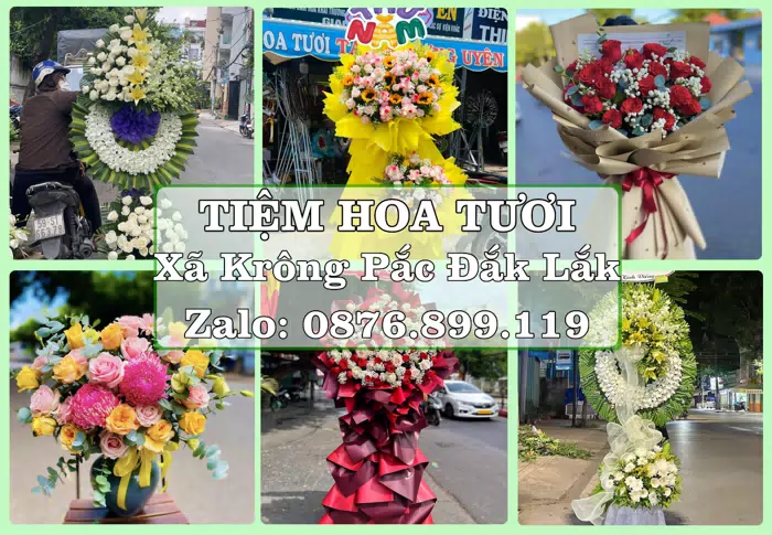 Shop hoa tươi tại Xã Krông Pắc Đắk Lắk – Hoa tươi và trái cây, dễ chọn theo từng dịp · ảnh 1