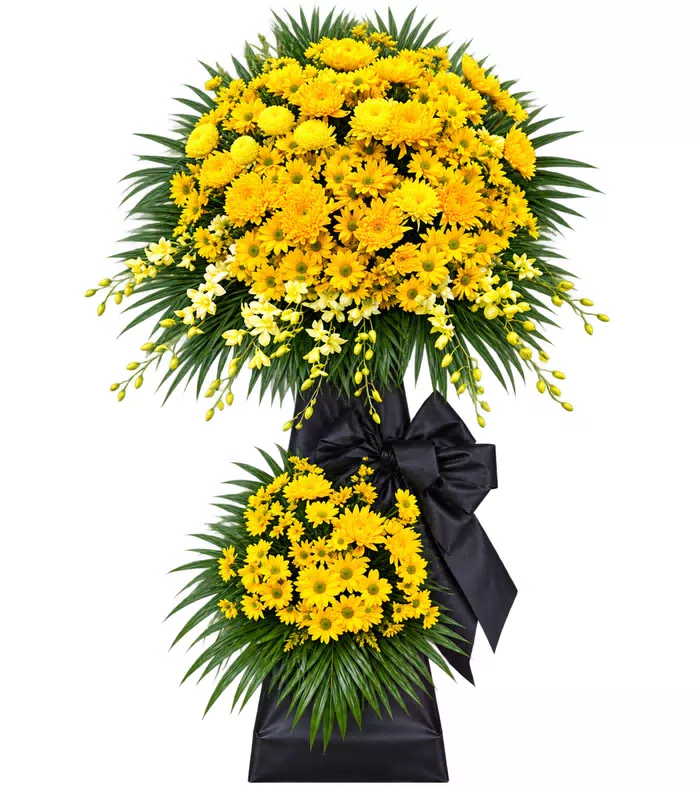 Nhớ Thương – kệ hoa phân ưu cúc vàng