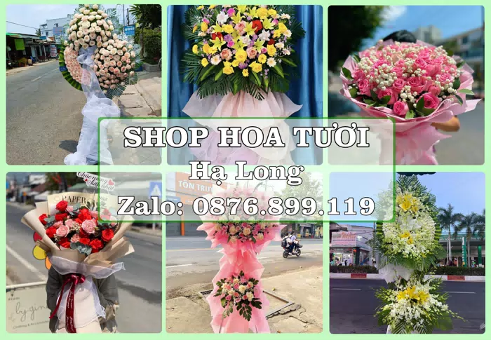 Shop hoa tươi tại Hạ Long – Hoa tươi và trái cây, dễ chọn theo từng dịp · ảnh 1