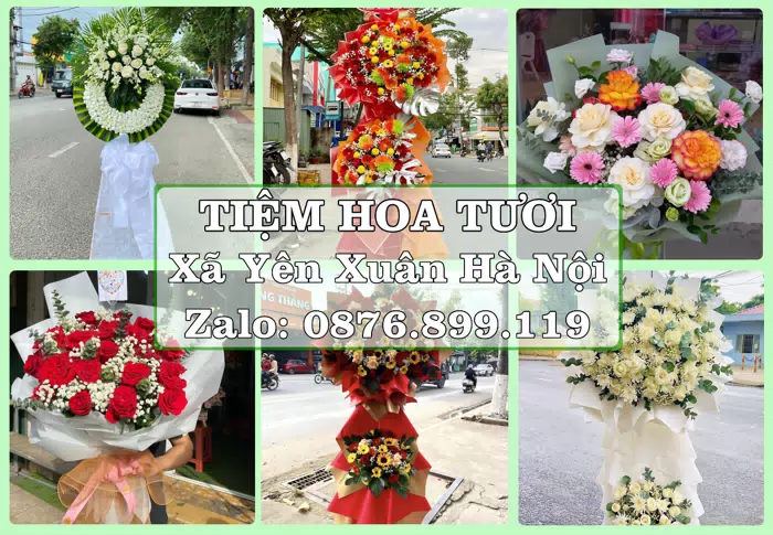 Shop hoa tươi tại Xã Yên Xuân Hà Nội – Đặt quà gửi người thân từ xa · ảnh 1