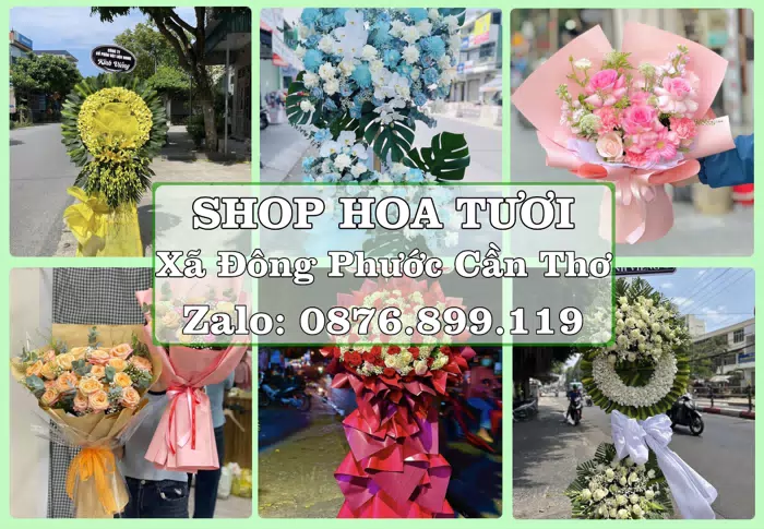 Shop hoa tươi tại Xã Đông Phước Cần Thơ – Từ bó hoa tặng đến giỏ trái cây biếu · ảnh 1