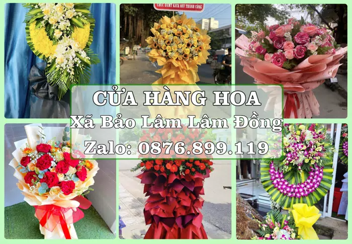 Shop hoa tươi tại Xã Bảo Lâm Lâm Đồng – Chọn hoa, chọn giỏ quà thật chu đáo · ảnh 1