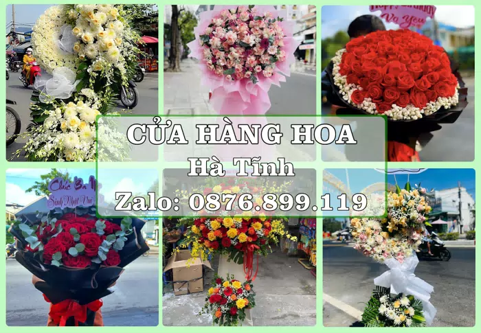 Shop hoa tươi tại Hà Tĩnh – Gửi lời quan tâm bằng hoa và trái cây · ảnh 1