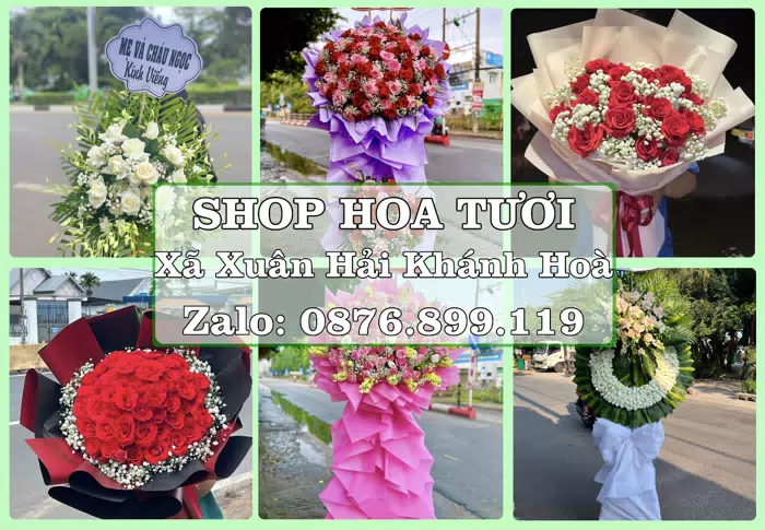 Shop hoa tươi tại Xã Xuân Hải Khánh Hoà – Hoa xinh, trái cây cho những dịp gần gũi · ảnh 1
