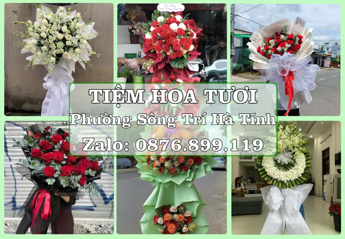 Shop hoa tươi tại Phường Sông Trí Hà Tĩnh – Gửi lời quan tâm bằng hoa và trái cây · ảnh 1