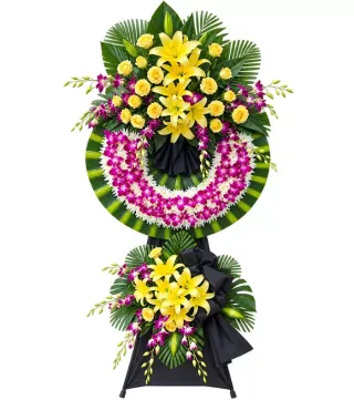 Tình Thân – kệ hoa phân ưu ly vàng tím