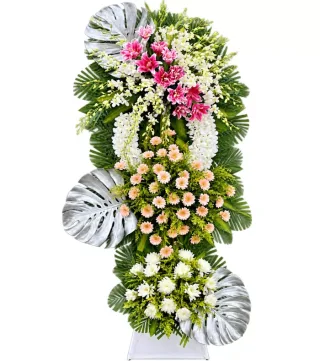 Thương Tiếc – kệ hoa phân ưu hồng trắng