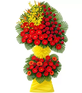 Vươn Xa – kệ hoa chúc mừng đồng tiền đỏ hai tầng