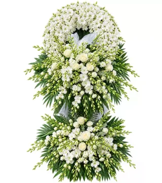 Trầm Lắng – kệ hoa phân ưu trắng xanh · 1319