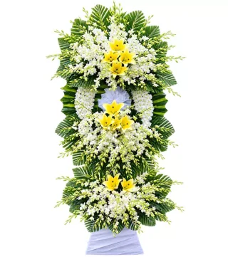 An Tịnh – kệ hoa phân ưu vàng trắng