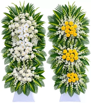 Nhớ Thương – kệ hoa phân ưu trắng vàng