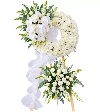 Dấu Nhớ – kệ hoa phân ưu lan trắng