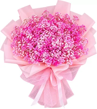 Nắng Trong – bó hoa baby hồng đậm