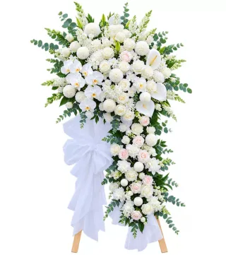 Lời Tiễn Biệt – kệ hoa phân ưu cúc trắng · 1255
