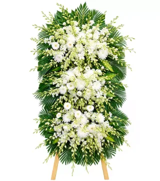 Thương Tiếc – kệ hoa phân ưu trắng xanh · 1471